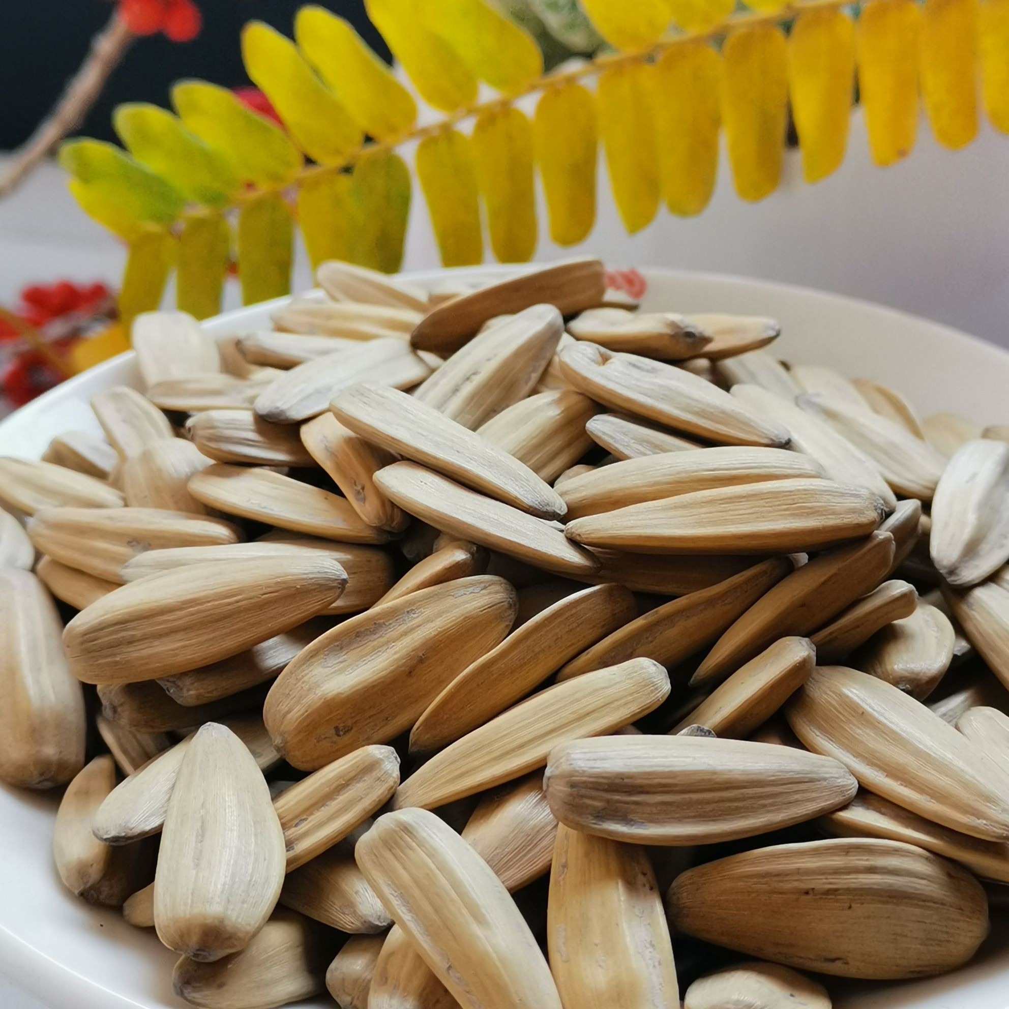 葵花籽瓜子(五香味) 1306.00个 新品