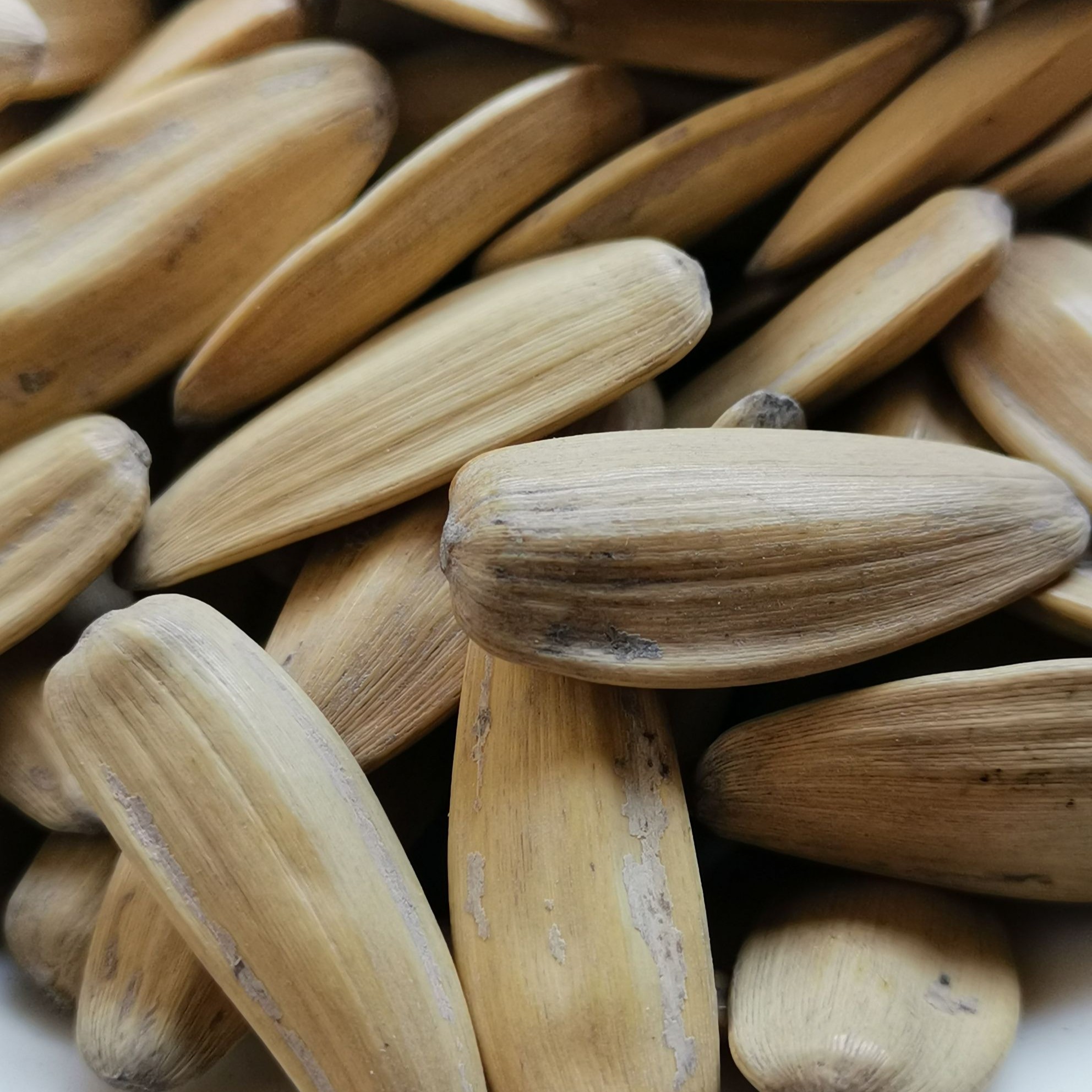 葵花籽瓜子(五香味) 1306.00个 新品