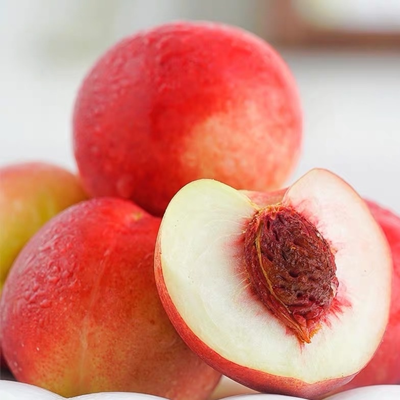 智利油桃500g 10000.00公斤