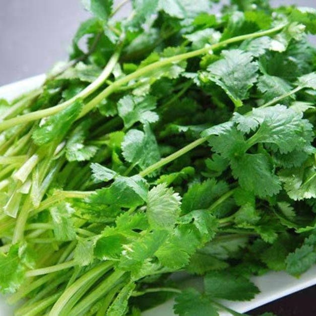 香菜99999.00个 新品