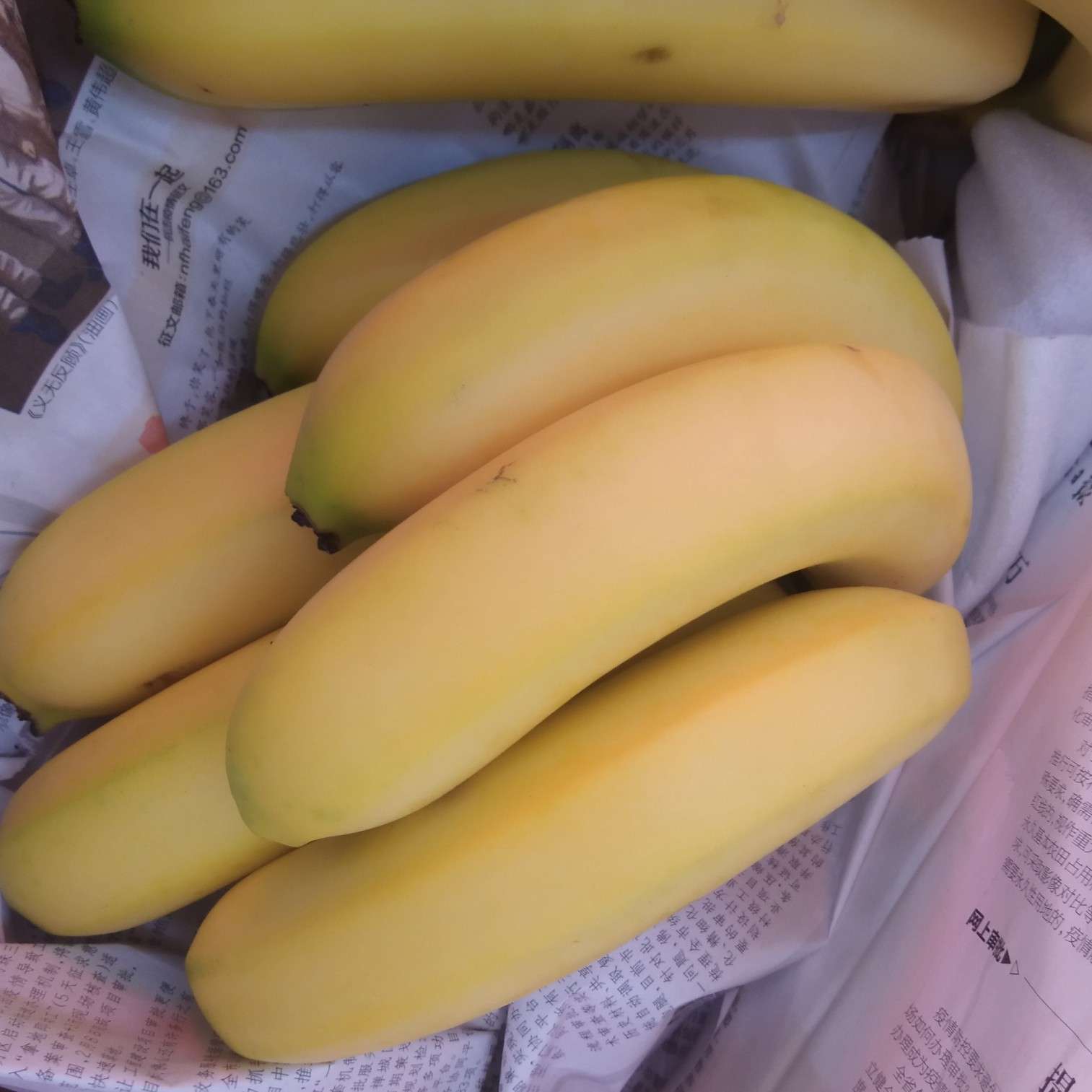 海南香蕉 99996.39个 新品